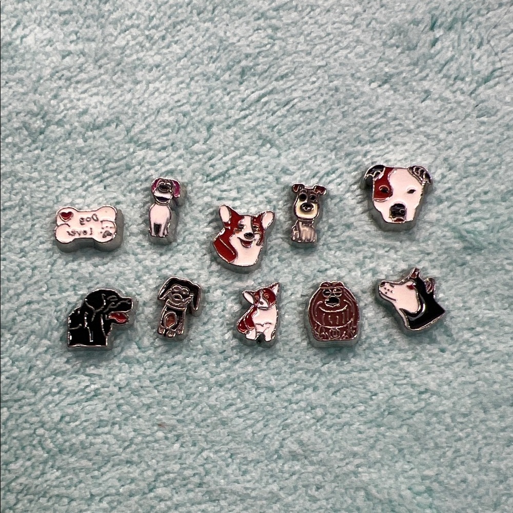 Cute Dog Floating Charm Locket set